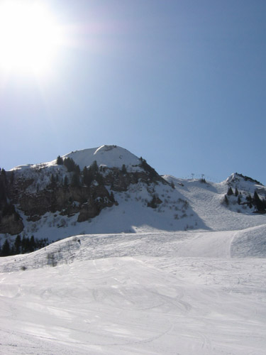 Le Printemps au Grand Bornand Floria